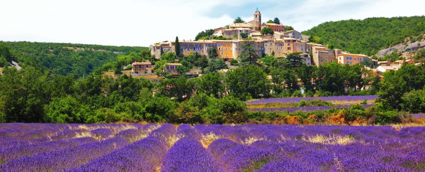 Guide to the Lavender Fields of Provence, South of France